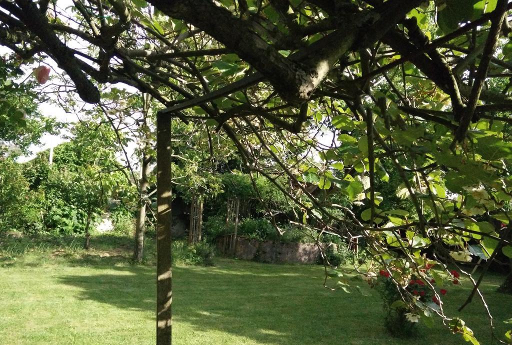 Gentil'Home - Toulouse B&B Prestige Fenouillet  Buitenkant foto